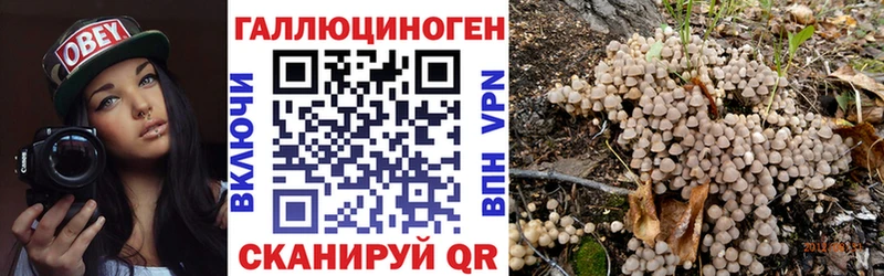 как найти наркотики  Мичуринск  ОМГ ОМГ онион  Галлюциногенные грибы MAGIC MUSHROOMS 
